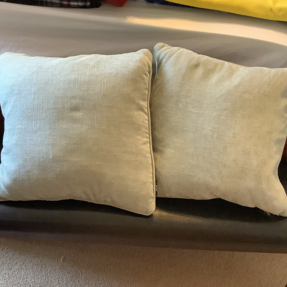 Set of 2 feather throw pillows